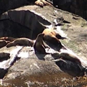 Screen Shot 2016-07-09 at 8.54.57 PM.jpg